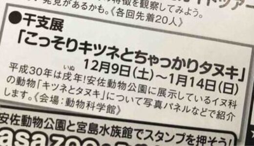 安佐動物公園で開催中の干支展「こっそりキツネとちゃっかりタヌキ」はまもなく終了です～！　1月14日(日)まで。