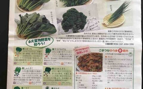 今が旬の広島近郊6大葉物野菜の中の「サラダみずな」と「ほうれんそう」は安佐南＆安佐北中心で栽培されているみたい！