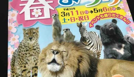 ヤギ・ヒツジ・キリンを間近で見て餌をあげることができる！　3月24日・25日安佐動物公園で「えさやり体験」が開催されるみたい。