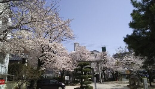 第3弾【ご近所(安佐南＆安佐北)の桜2018】　編集部が撮った写真と、みなさんからいただいた写真をご紹介します！