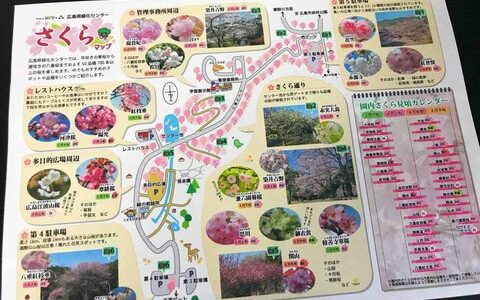 まだまだ桜が楽しめそう！　広島県緑化センターは4月22日まで「さくら祭り」開催中。