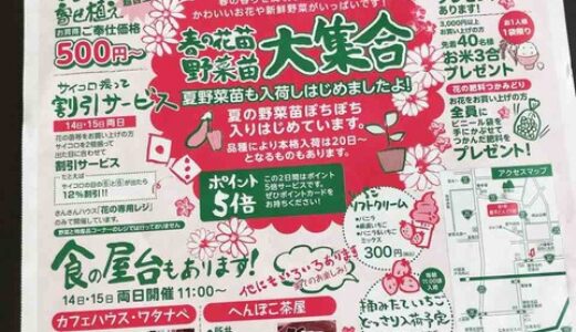 道の駅豊平どんぐり村に「春の花苗＆野菜苗」が大集合。4月14日・15日「春の花市＆野菜苗」開催。先着特典や割引サービス企画もあるみたい。