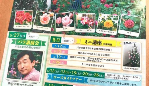 5～6月は春のバラが見頃！ 県内最多850種類のバラがある広島市植物公園で「ローズフェスティバル2018」開催。5月12日～27日まで。
