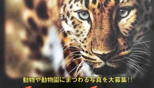 【募集中～11/30まで】安佐動物公園が『第33回動物写真コンクール』を開催中。写真好きの人ぜひ応募してみませんか？