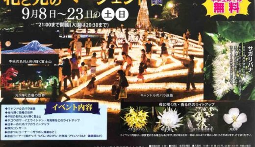 花と光のイルミネーションを楽しめる夜間開園「花と光のページェント」が9月8日からスタート。広島市植物公園にて。9月23日までの土・日に開催。