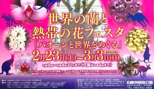 2月23日から「世界の蘭と熱帯の花フェスタ『バオーンと世界をめぐる』」開催。広島市植物公園にて。