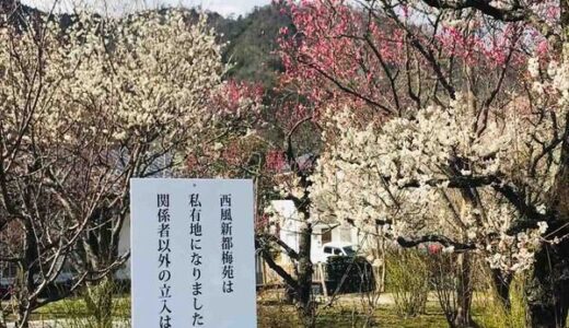 こころ住宅団地内にある、日本一の桜守・佐野藤右衛門さんが作庭した「西風新都梅園」が私有地になったみたい。