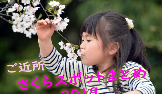 【ご近所桜スポットまとめ2019】花見に行こう！　安佐南＆安佐北にも桜はいっぱいありますよ～！