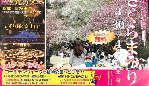 67種類の桜が競演！3月30日から広島市植物公園では「さくらまつり」が始まるみたい。4月21日までの土日に開催。