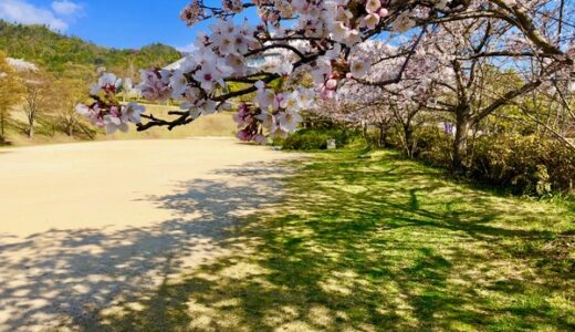 【画像クイズ開催!】さて、この桜写真の場所はどこでしょう。先着1名様＋抽選で3名様にプレゼントあり!