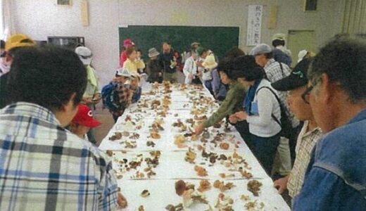 【自由参加・無料】10月20日(日)に、ひろしま遊学の森 広島県緑化センターできのこの名前や食毒を知れる「秋のきのこ教室」があるみたい。