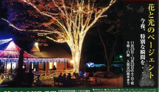 巨大平面ツリーや巨大リース登場！広島市植物公園では夜間開園「花と光のページェント」が11月23日(土)から始まるみたい。12月22日までの土日祝に開催。