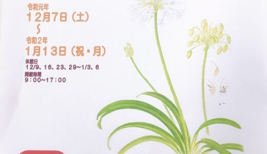 【入場無料】5-Daysこども文化科学館では、今「植物画の世界～ボタニカルアート展～」が開催中。～1月13日(祝・月)まで。