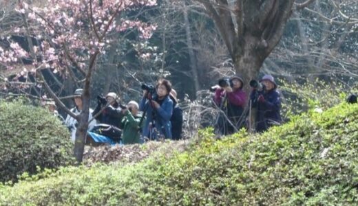 【要予約・先着20名】ひろしま遊学の森広島緑化センターでは、3月30日(月)に「早春の写真教室」があるみたい。2/1～予約開始。