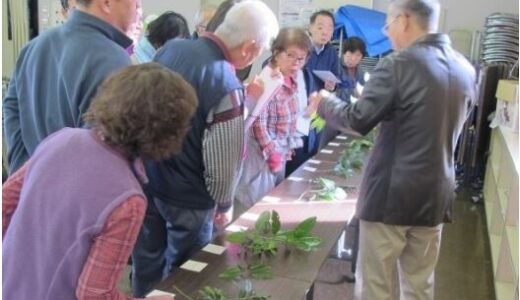 【自由参加・無料】1月29日(水)に、ひろしま遊学の森 広島県緑化センターで「針葉樹の見分け方～コケ・シダ植物から裸子植物へ～」という教室があるみたい。