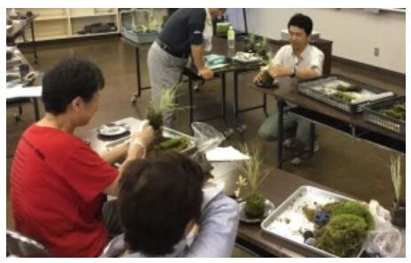 【要予約・先着30組・材料費1500円】ひろしま遊学の森広島緑化センターでは、2月1日(土)に「節分草寄せ植え教室」があるみたい。