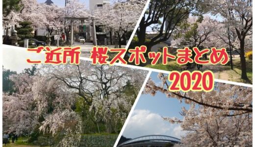 【ご近所桜スポットまとめ2020】広島市の桜開花予想は3月20日！安佐南＆安佐北周辺にも桜はいっぱいです。