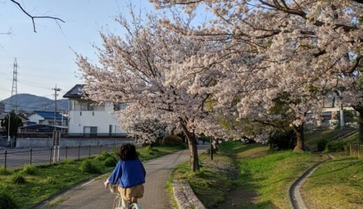 第3弾【ご近所の桜2020】編集部が撮った写真と、みなさんから投稿いただいた写真を紹介します！