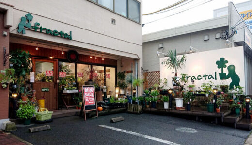 【閉店情報】観葉植物がたくさんある花屋さん。安佐南区緑井にある「フラクタル」が6月28日に閉店するみたい。