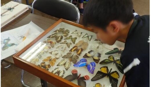 【要予約・先着10組・残りわずか】ひろしま遊学の森広島緑化センターでは、7月26日(日)に「昆虫標本作り入門」というイベントがあるみたい。