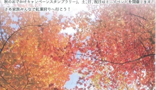 10月24日(土)～11月15日(日)まで、ひろしま遊学の森　広島県緑化センターでは「もみじ祭り」開催中。