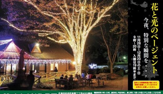 広島市植物公園では夜間開園「花と光のページェント」が11月28日(土)から始まるみたい。12月20日までの土日祝に開催。