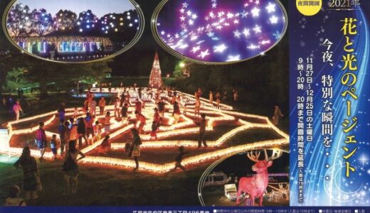 広島市植物公園では夜間開園「花と光のページェント」が11/27(土)から始まるみたい。12/25までの土曜日に開催。