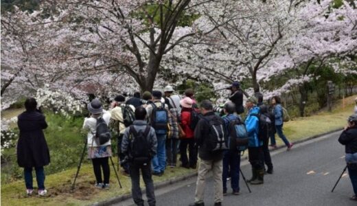 【要予約・先着15名】ひろしま遊学の森広島緑化センターでは、4月11日(月)に「早春の写真教室」があるみたい。参加は無料。