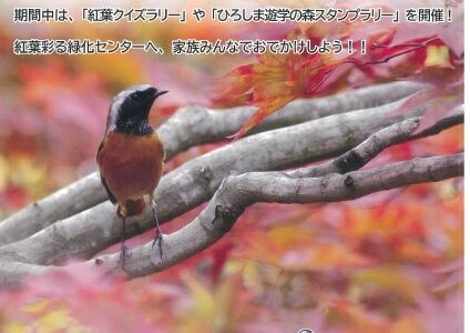 ひろしま遊学の森 広島県緑化センターでは11/13(日)まで「もみじ祭り」開催中。11/3(木・祝)には家族で楽しめる催したくさんの「お楽しみイベント」があるみたい！