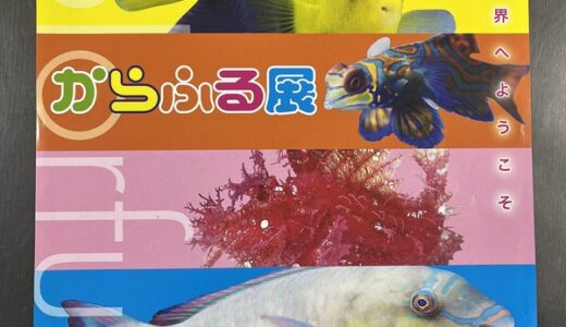 なんでこんな色してるの⁉ 不思議な魚が大集合。マリホ水族館では12/16～「からふる展」が開催中みたい。2023/5/14まで。