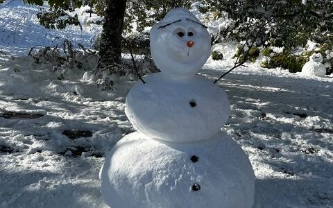 【ご近所は大雪だった!】安佐南区・安佐北区あたりの本日12/24(土)朝の積雪風景です。読者のみなさん、情報提供ありがとうございます。