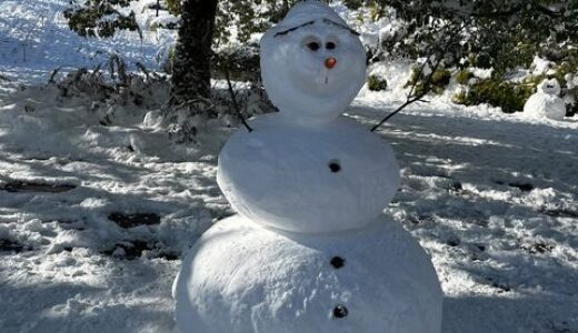 【ご近所は大雪だった!】安佐南区・安佐北区あたりの本日12/24(土)朝の積雪風景です。読者のみなさん、情報提供ありがとうございます。