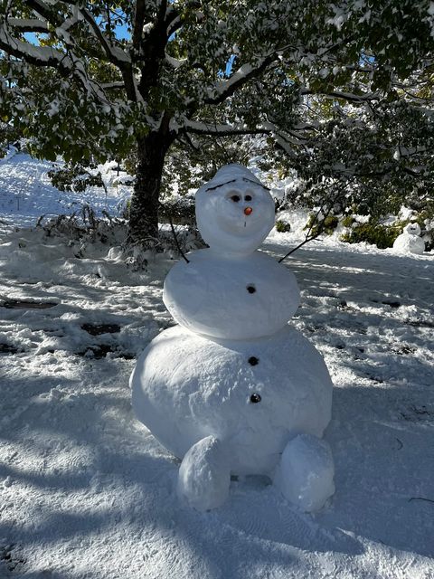 ご近所は大雪だった!】安佐南区・安佐北区あたりの本日12/24(土)朝の