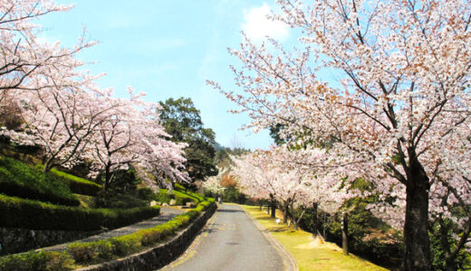【自由参加・無料】3月28日(火)に、ひろしま遊学の森 広島県緑化センターで「早春の自然探勝」があるみたい。