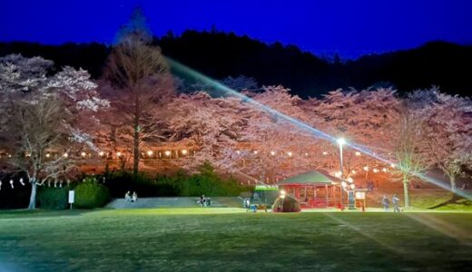 【読者クチコミ情報2023】安佐南・安佐北をはじめ、広島県内のいい感じの桜写真が集まりました。★まるごとGO!公式インスタグラムで配信中