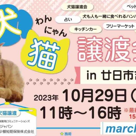 10/29(日)、廿日市の冠高原フローラパークで「犬猫譲渡会」が開催されるみたい。キッチンカー、フリマ、占いなども同時開催。