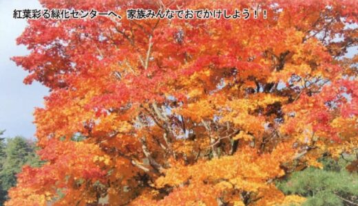 広島県緑化センターでは、10/21(土)から「もみじ祭り」が始まるみたい。秋を感じるイベント盛りだくさん！11/3(祝)にはお楽しみイベントが開催。