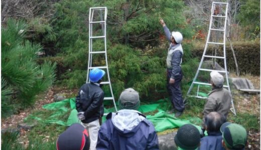 【要予約・先着15組】ひろしま遊学の森 広島県緑化センターでは、11/23(木祝)に「剪定基本マスター講座」があるみたい。
