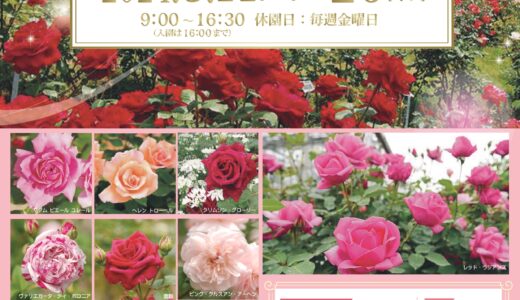 広島市植物公園では、5/11～5/26まで「ローズフェスティバル2024」を開催。県内最多850種類のバラを楽しめる。期間中にはバラに関するいろいろなイベントあり！