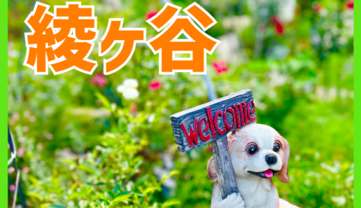 【花が好き♡】5/19(日)に安佐北区可部町綾ヶ谷の｢綾西花広場」で神楽やグルメ、野菜販売などイベントがあるみたい。