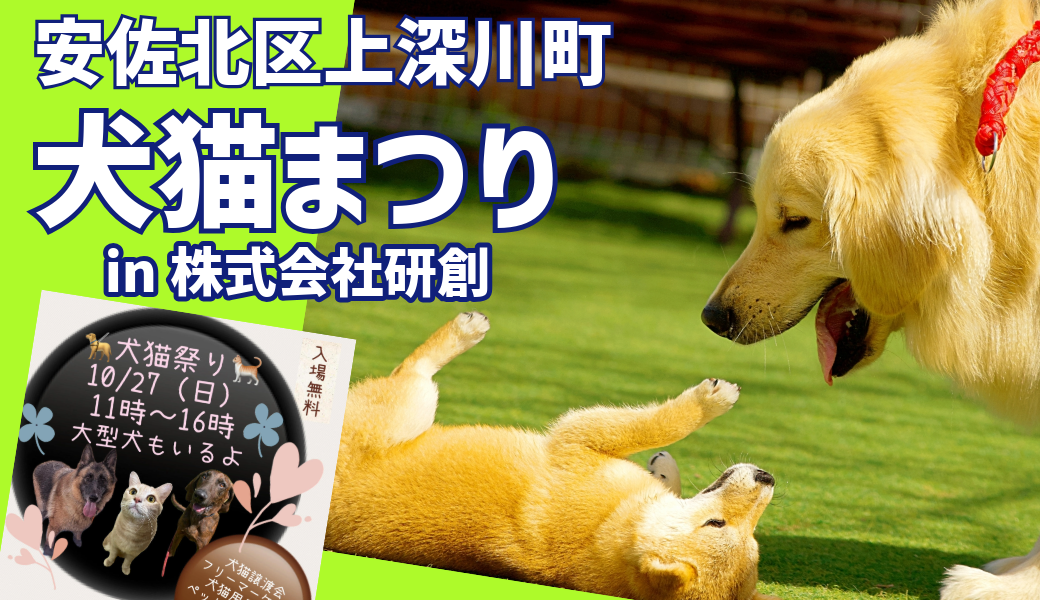 10/27(日)に、安佐北区上深川町にある株式会社研創にて、猫・小型犬