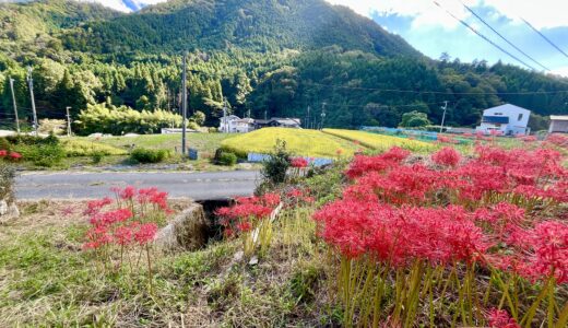 【早速行ってみた】10/4(金)、安佐南区伴西に米粉・ノンオイルシフォンケーキの店｢toroffon｣(とろふぉん)がオープン。いい感じの自然に囲まれた自宅工房で、新しい挑戦をはじめたみたい。