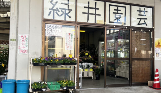 【閉店情報】安佐南区緑井にある花屋さん｢緑井園芸｣が12月末で閉店みたい。観葉植物の半額セールを開催中。50年間、いままでありがとうございました。