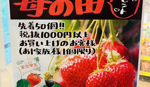 【お得な限定情報】1/15(水)先着50コ限定、｢フレスタ 横川本店｣でイチゴの苗のプレゼントがあるみたい。