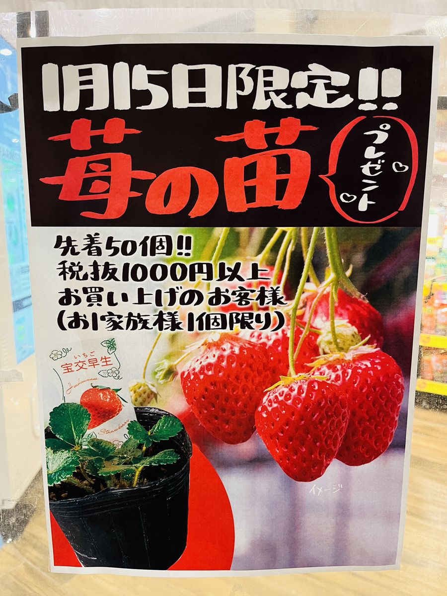 お得な限定情報】1/15(水)先着50コ限定、｢フレスタ 横川本店｣でイチゴ