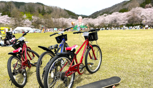 【お花見シーズンはまだ続いていた】可部からドライブで約25分で行ける安芸高田市の｢土師ダム｣はサクラが満開だった。1日中遊べる施設がいっぱい。