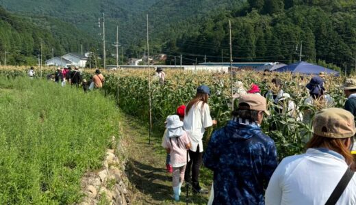 下のソーシャルリンクからフォロー