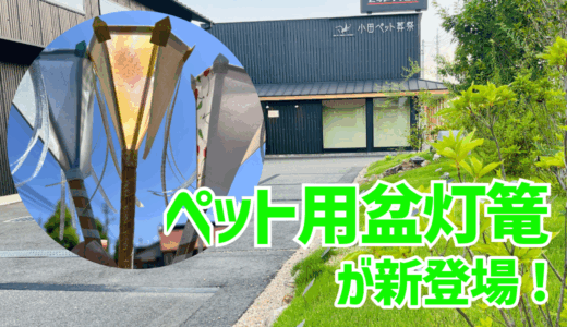 下のソーシャルリンクからフォロー