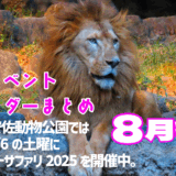 【8月後半まとめ】いよいよ夏休みも後半戦。夏の思い出をたくさんつくろう! ★ご近所イベントカレンダー2025