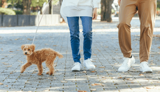 【散歩がそのまま防犯活動!?】愛犬と散歩するだけで地域貢献。10/1スタートのワンワンパトロールの新チーム「広島ワンパト隊」の隊員募集。活躍次第で階級が上がるみたい。